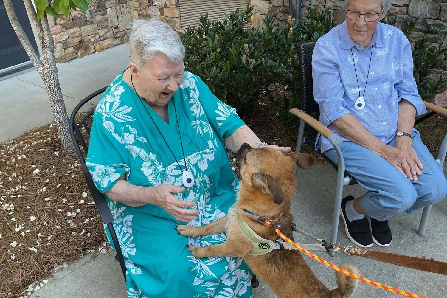 Resident enjoying a visit with a friendly dog outdoors at our pet-friendly senior living community in Acworth, GA, surrounded by lush garden greenery