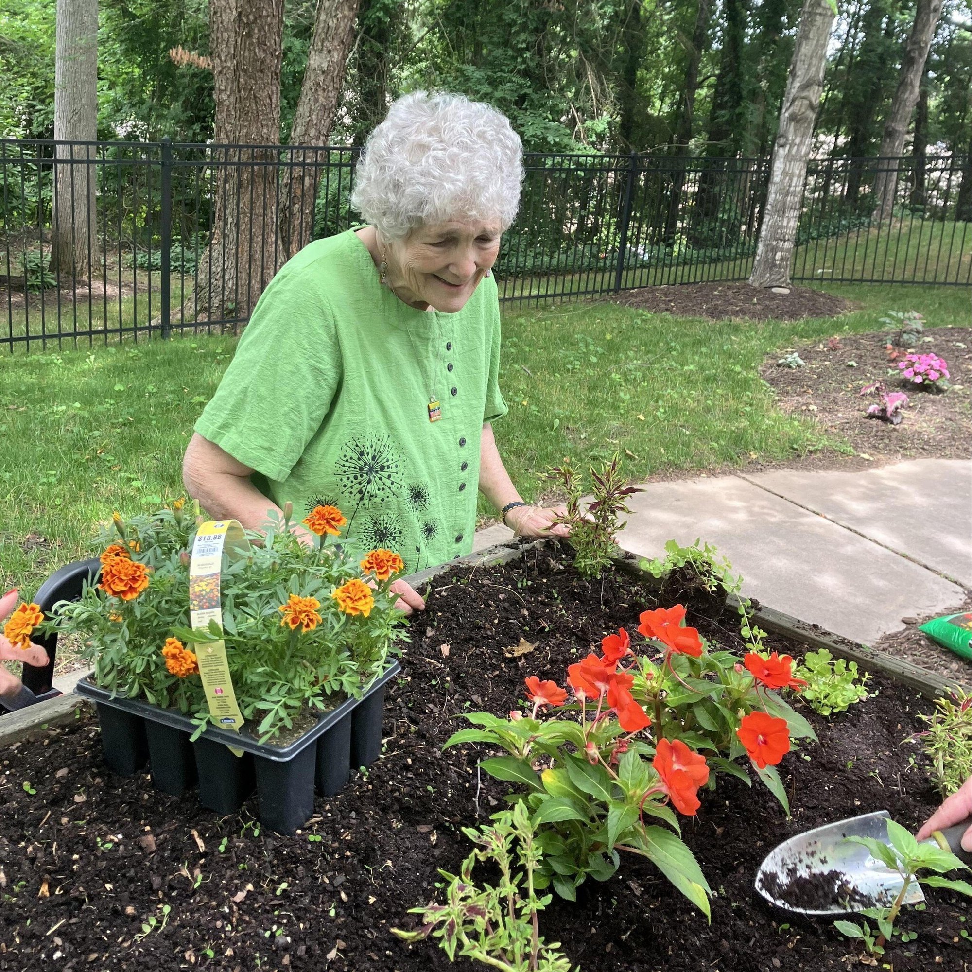 A woman in a green shirt tends to a vibrant raised garden bed filled with orange blooms, enjoying the outdoors at this senior living community in Asheville, NC.