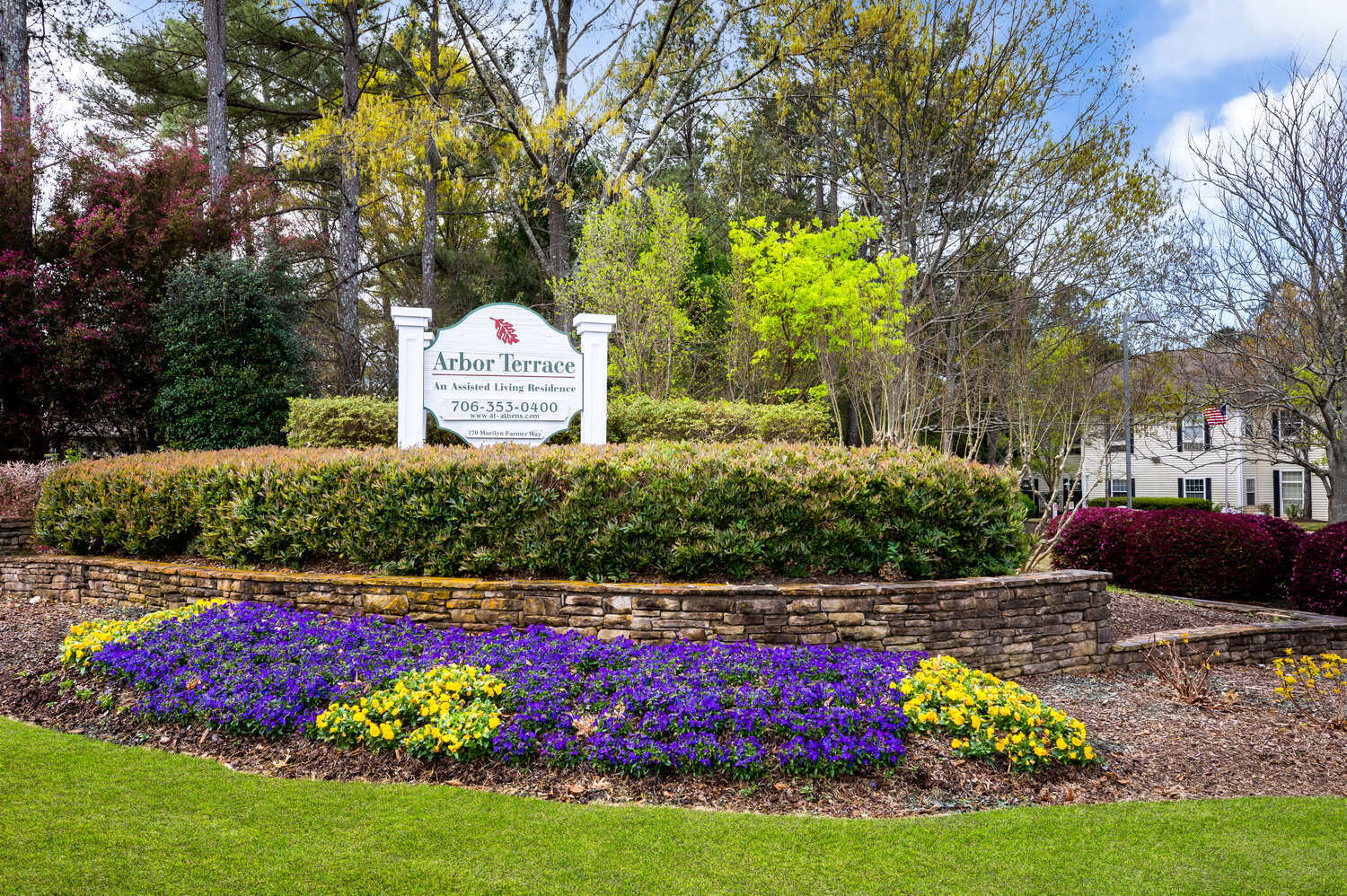 The Arbor Terrace Athens entrance sign surrounded by vibrant purple and yellow flower beds and lush greenery, warmly welcoming residents and families to this assisted living community in Athens, GA.