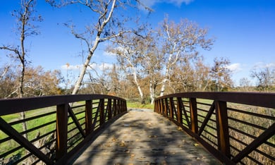 Walking path in a park