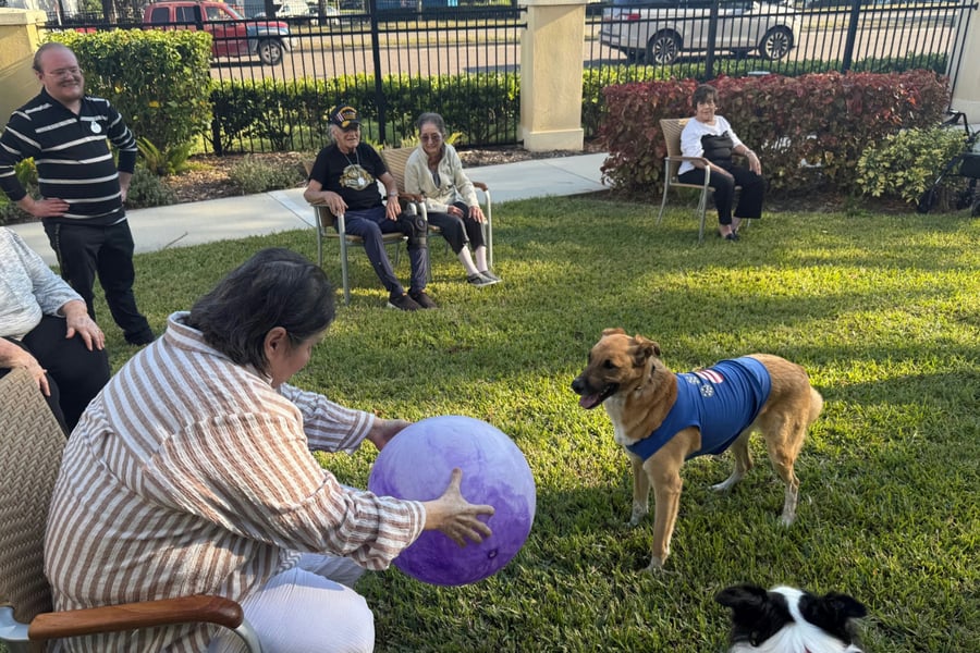 Residents enjoy a sunny outdoor visit with a friendly dog, playing ball and gathering on the lawn, capturing the active, pet-friendly senior living in Citrus Park, FL.