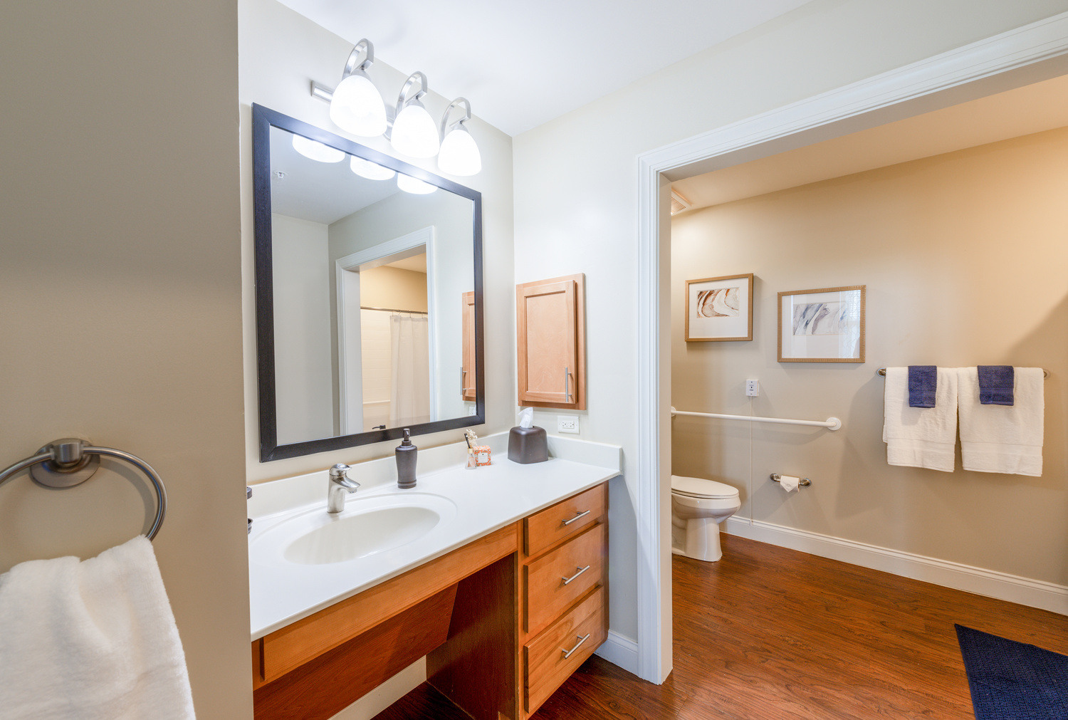 This apartment bathroom features a lit vanity mirror, wood cabinetry, and a private toilet area with a safety grab bar, reflecting the comfortable senior apartments in Cooper City, FL, at this senior living community in Cooper City, FL.