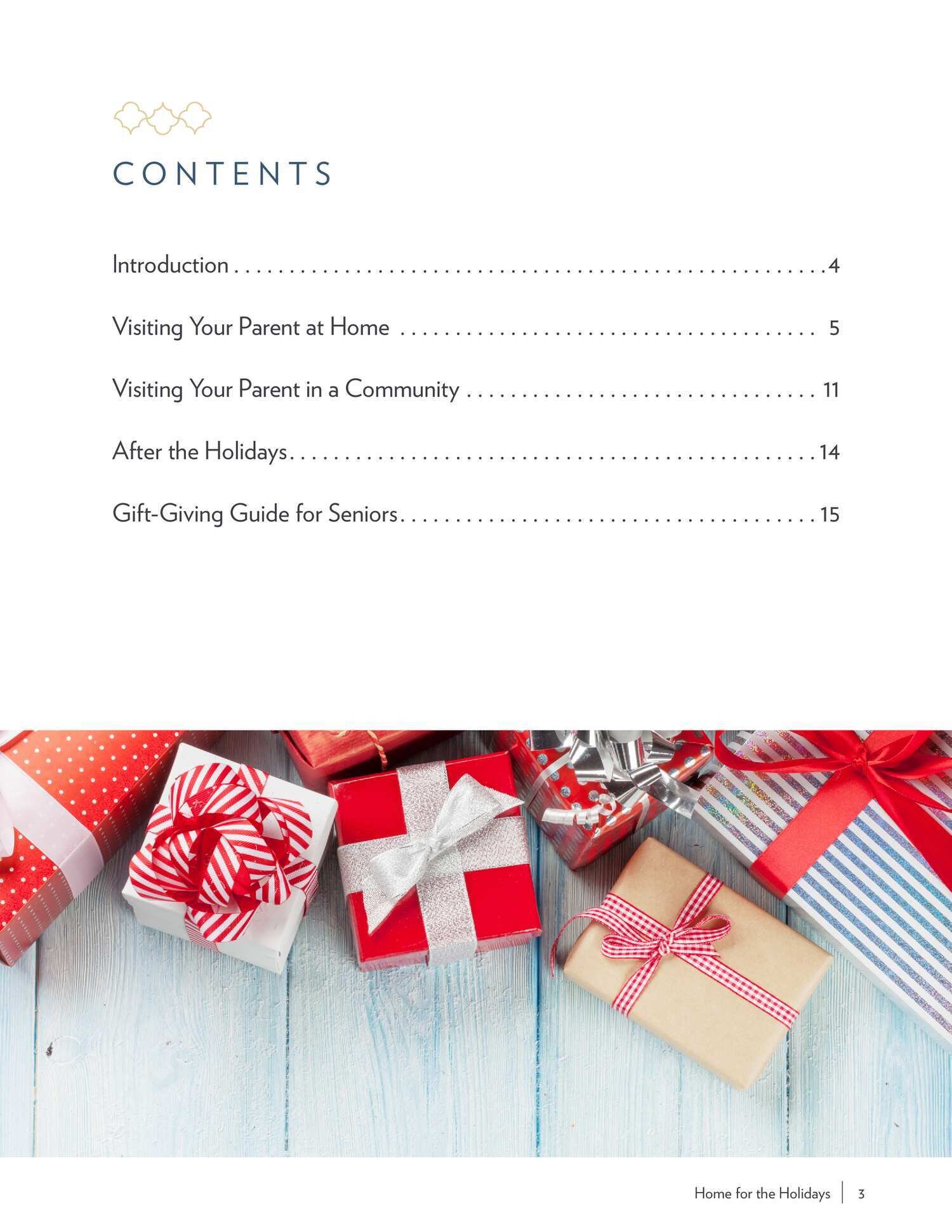 Home for the Holidays 3