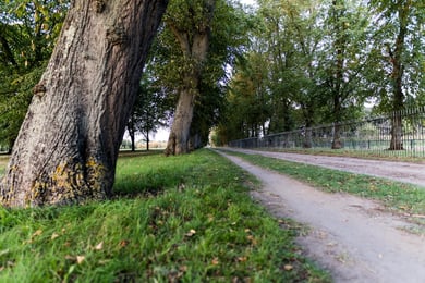 Exton Park