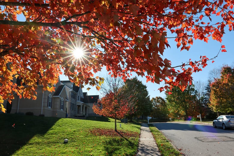 Exton Suburb2