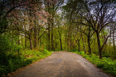 Marsh Creek State Park