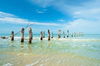Fort Myers Beach - Living In Page (1)