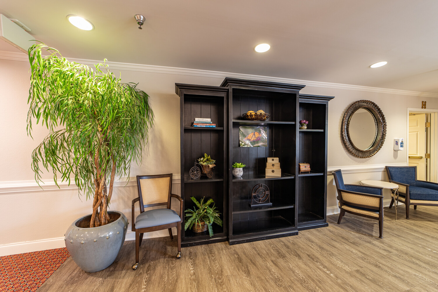 A welcoming entryway showcases a tall potted tree, a dark wood display cabinet, and a round mirror, reflecting the inviting atmosphere of this senior living Greenville SC community's personalized senior care Greenville SC.