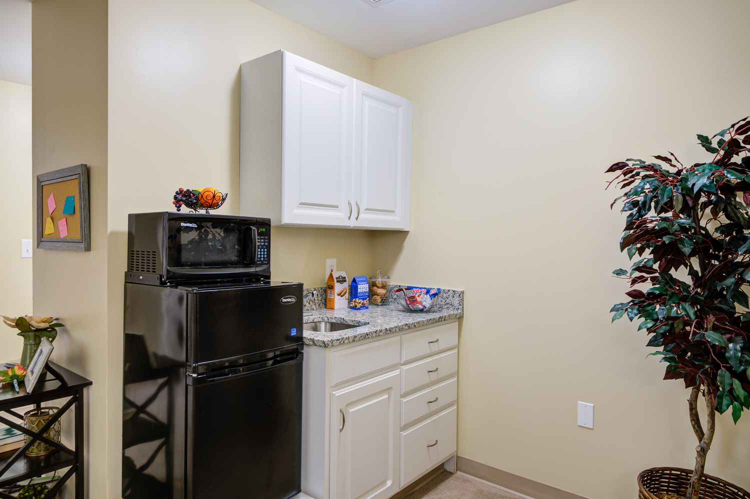 Bright kitchenette with white cabinets, black appliances, and a decorative plant at Arbor Terrace Senior Living, a warm and welcoming senior living community in Lanham, MD near Greenbelt.