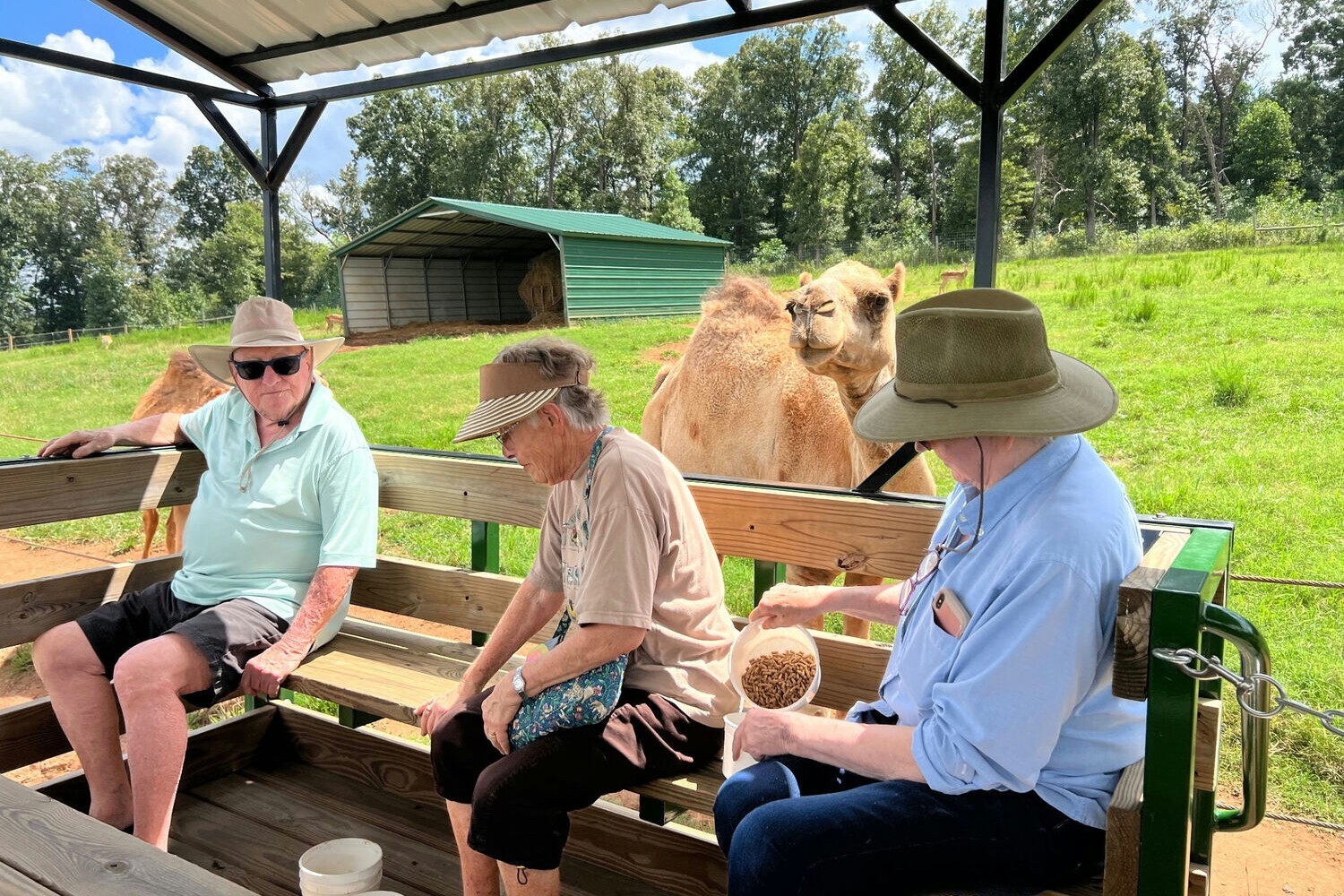 Three residents sit on a shaded bench and interact with a camel during an outdoor excursion, reflecting the enriching activities and active senior living near Doylestown, PA in Bucks County.