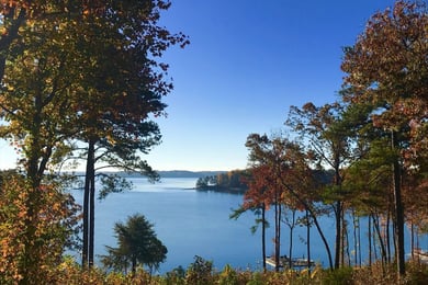 A serene tree-lined shoreline at Lake Lanier, a popular North Georgia outdoor destination just 45 minutes from this senior living community in Dacula, GA.
