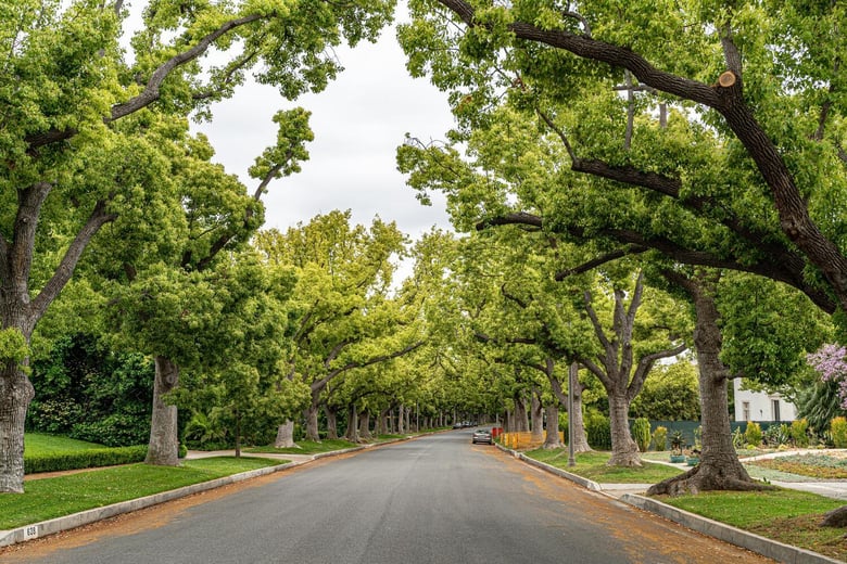 A canopy of mature trees lines a peaceful street in Sugar Hill, an emerging downtown community and familiar destination for residents of this senior living community in Dacula, GA.