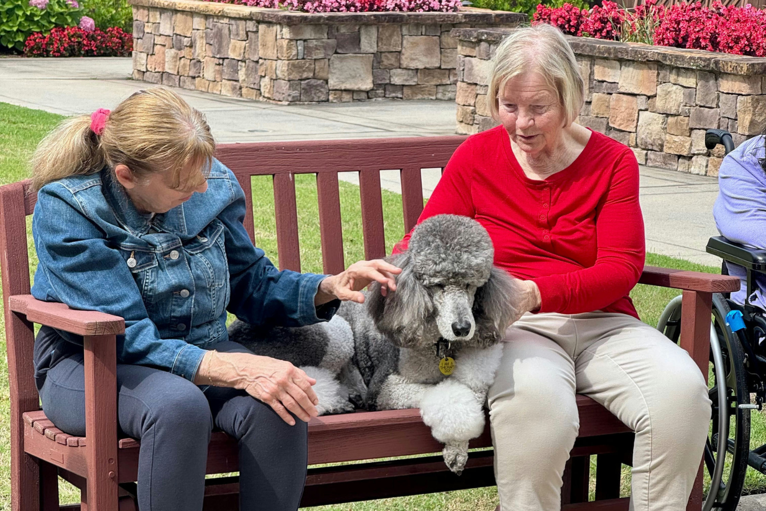 2 senior women sitting on a bench with a gray poodle therapy dog