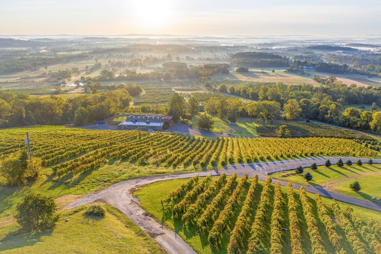 Rolling vineyards and golden fields capture Loudoun County's growth near Ashburn, an easy drive from Arbor Terrace Herndon, a senior living Herndon Virginia community offering 55+ communities Ashburn VA convenience alongside independent living Herndon VA.