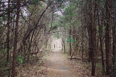 A peaceful wooded trail winds through Runnymede Park, offering nature and quiet walks near Arbor Terrace Herndon, an independent living with walking trails Herndon VA community that embodies the charm of senior living Herndon Virginia.
