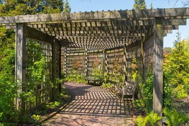 A wooden pergola draped in climbing vines shades a paved walkway and garden bench, surrounded by lush greenery and colorful plantings, a serene stroll for assisted living near Chicago Botanic Garden and senior living with walking paths Highland Park IL.