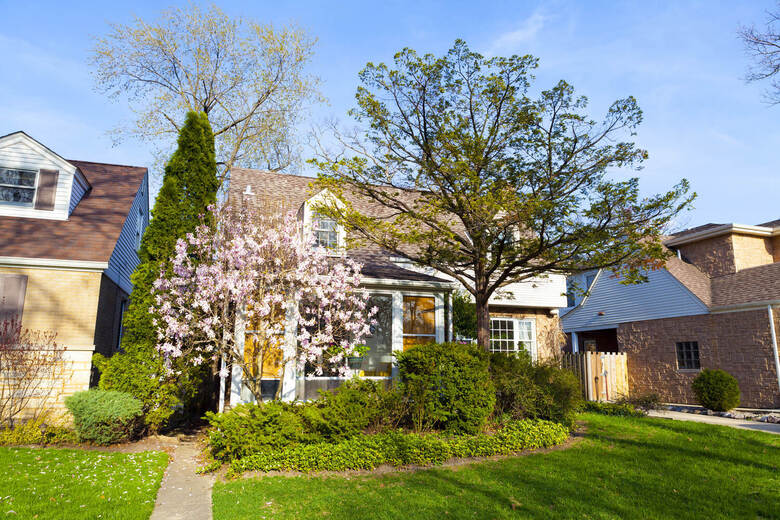A flowering tree in soft bloom stands beside classic two-story homes with neat siding and green shrubs, capturing the neighborhood charm families value when exploring dementia care Winnetka IL and memory care Highland Park IL.
