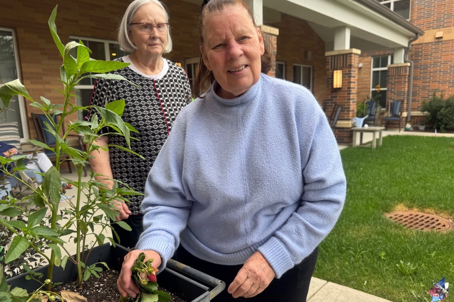 Two smiling women tend a leafy plant in a raised planter in the sunny courtyard at Arbor Terrace Highland Park, with a green lawn and brick building behind them, a peaceful garden moment of nature-friendly senior living Highland Park IL and an active senior lifestyle Highland Park IL.
