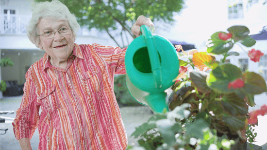 knoxville - a senior lady watering plants