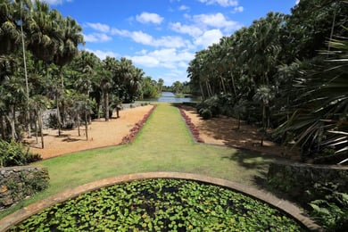 A lush, tree-lined path through Greenacres, an established suburban community just minutes from this senior living community in Lake Worth, FL.