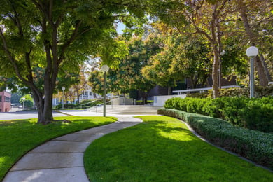 Norton Museum of Art