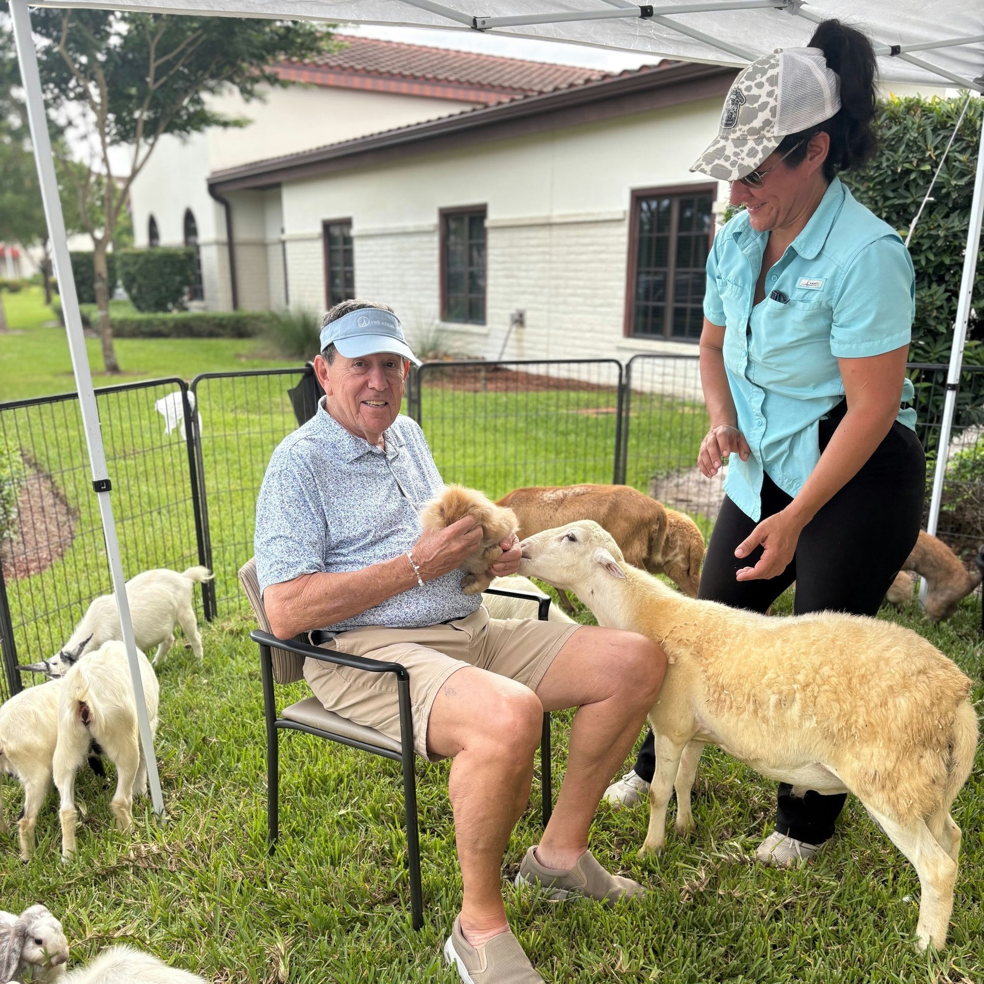 Residents enjoy a hands-on animal visit outdoors, petting baby lambs on the grass at this active senior living community near Palm Beach County.