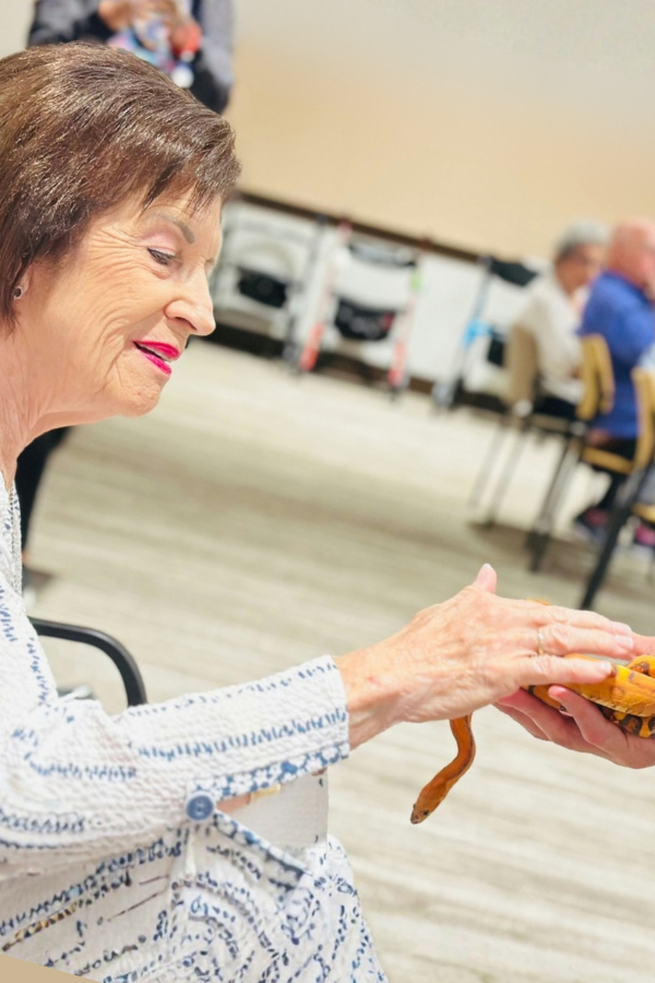 A senior lady touching a snake