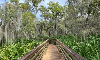 A scenic elevated boardwalk winds through a lush freshwater marsh at Green Cay Wetlands, a peaceful nature destination near this retirement community in Lake Worth, FL.