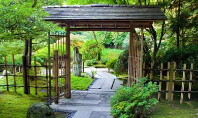 A serene bamboo garden pathway at the Morikami Museum and Japanese Gardens, a distinctive cultural destination near this senior living community in Lake Worth, FL.