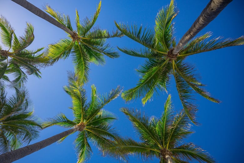 shutterstock_2715380209 (1) (2)