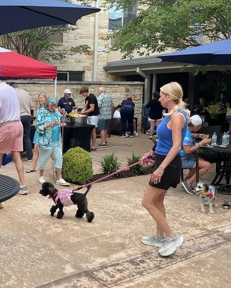 A woman walks a small black poodle on a leash at an outdoor community gathering with other people socializing under market umbrellas.