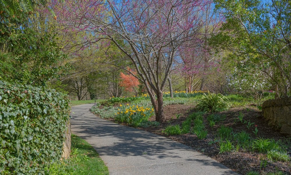 Middletown_DeepCutGardens