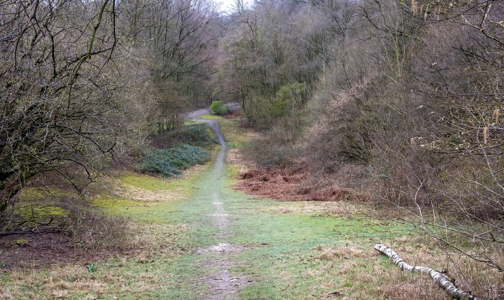 Middletown_HuberWoods