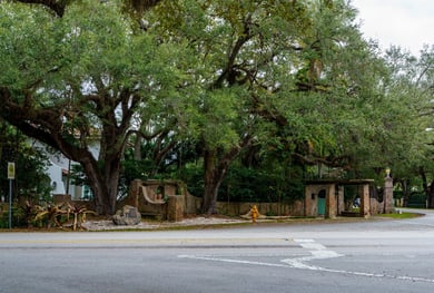 A shaded, tree-canopied street in historic Coral Gables, a culturally rich neighborhood near this senior living community in Coral Gables, FL, home to Miracle Mile and a thriving arts scene.