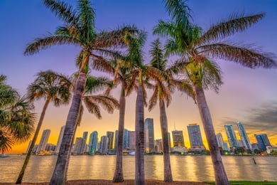 A warm evening view of palm-lined streets in Westchester, a close-knit Miami-Dade neighborhood offering families a familiar, convenient connection to this senior living community in Miami, FL.