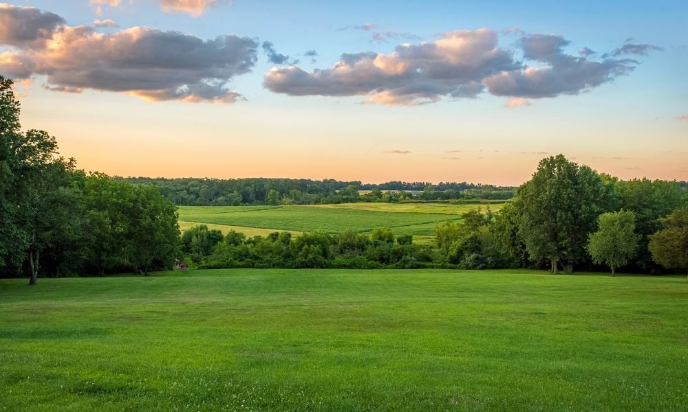 green field with trees, blue sky, and clouds