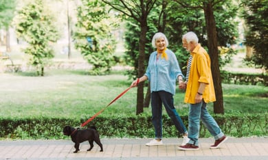 Two people walking a dog along a sunny park path, representing the pet-friendly senior living Shrewsbury NJ lifestyle and the welcoming outdoor spaces near this Monmouth County senior community.