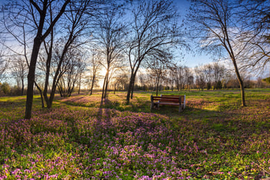 Speedwell Lake Park
