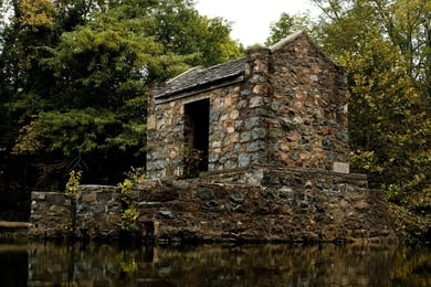 historic speedwell
