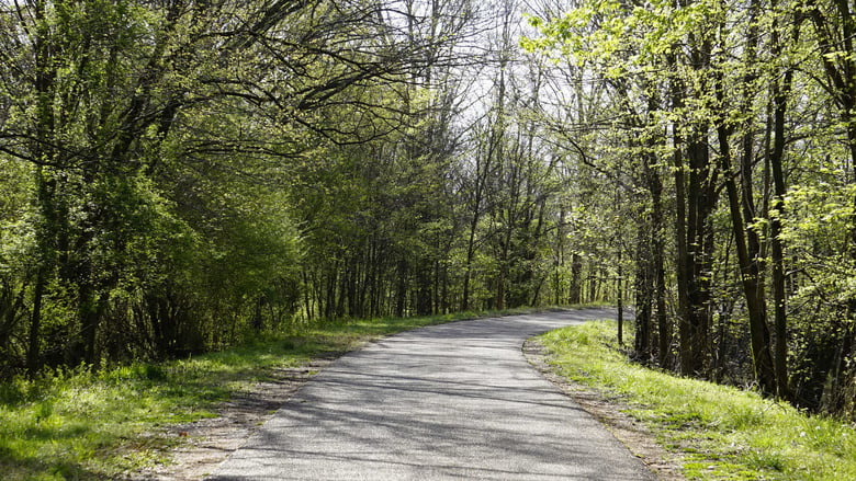 A peaceful tree-lined road in Bartlett, TN, a friendly suburban community north of East Memphis and a short drive from Opus East Memphis senior living in Memphis, TN.