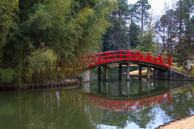 A red arched bridge reflects over a tranquil pond surrounded by bamboo and trees near Opus East Memphis, capturing the natural beauty accessible to senior living residents in East Memphis, TN.