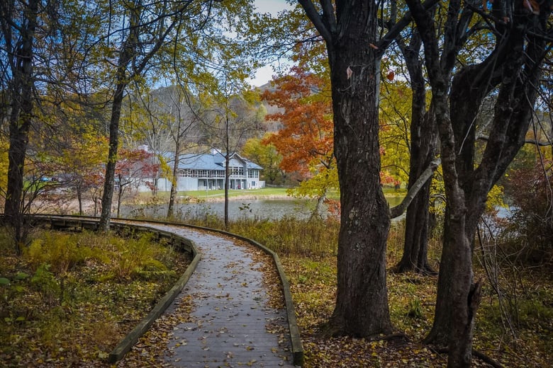 A peaceful wooded path winds past a pond and colorful autumn trees, reflecting the tranquil neighborhoods that make memory care Lake Ridge VA families feel at home, just minutes from senior living Woodbridge VA.