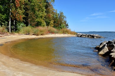 A sandy riverside beach meets calm water beneath a clear sky, framed by rocky shoreline and trees, showcasing the scenic outdoor spaces near senior living Occoquan VA and senior living Woodbridge VA.