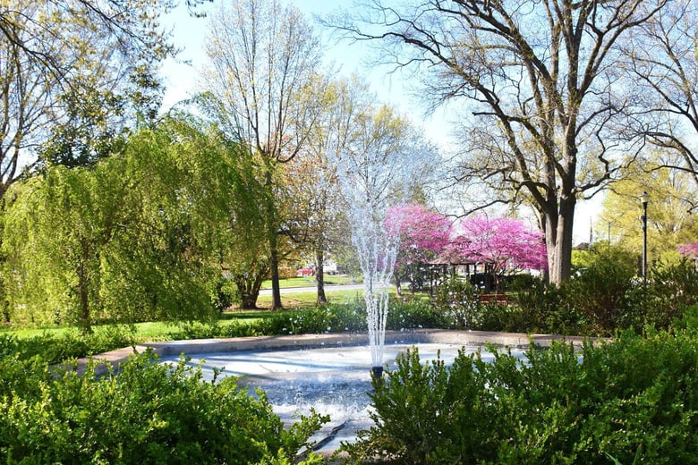 A lush park with weeping willows, blossoming trees, and a fountain showcases the natural beauty near senior living Manassas VA, part of this wellness-focused senior living Northern Virginia community.