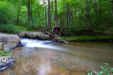 A peaceful forest waterfall cascades over rocks into a calm stream surrounded by lush greenery, capturing the tranquil beauty near this senior community near Prince William Forest Park and nature-access senior living Woodbridge setting.