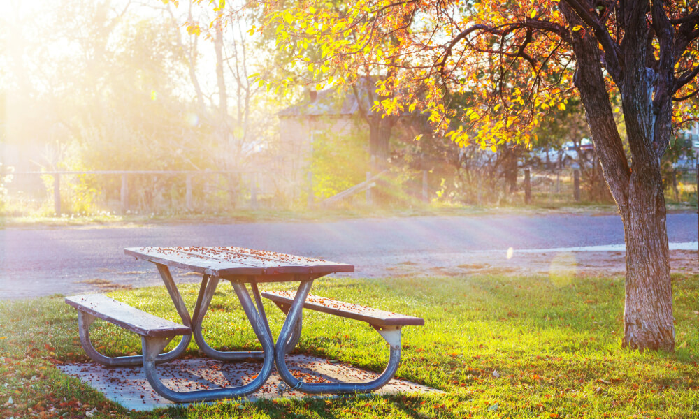 A picnic table sits beneath golden autumn trees in a sunlit park, capturing the outdoor charm near resort-style senior amenities in Sandy Springs, GA and Dunwoody, GA.
