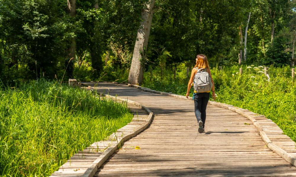 A walker strolls along a wooden boardwalk trail surrounded by lush greenery, highlighting the walkable senior living lifestyle near Sandy Springs, GA and Brookhaven, GA.