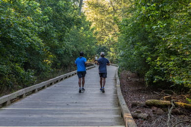 Two walkers stroll along a wooden boardwalk trail through lush greenery, reflecting the active senior lifestyle near Sandy Springs, GA and Perimeter, GA.