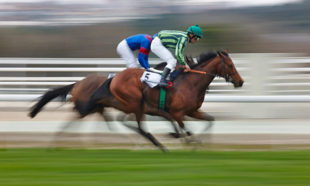 ArborTerraceShrewsburyMonmouthParkRacetrack (1)