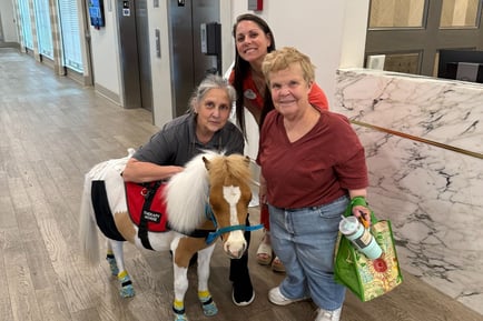 Residents with a miniature pony during a community event 
